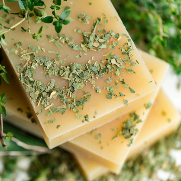 Chagrin Valley Neem Tea Tree Shampoo